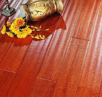 ��רҵ�ĵذ���������