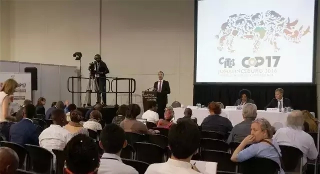 CITES��Ὣȫ����̴�������̴����ͻ����������Σ